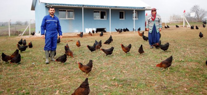 ‘’Büyükşehir’den çiftçilere yüzde 50 hibeli tavuk desteği’’