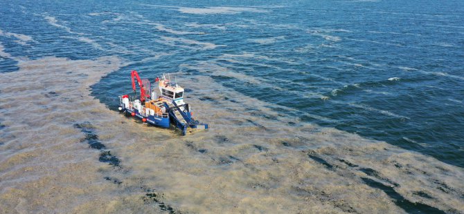 50 günde 150 ton deniz salyası toplandı