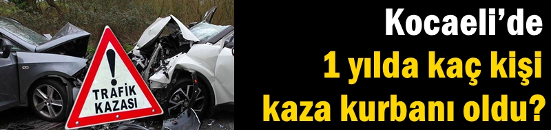 Kocaeli’de 1 yılda kaç kişi kaza kurbanı oldu?