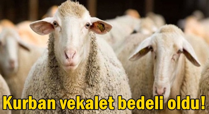 Kurban vekalet bedeli belli oldu!
