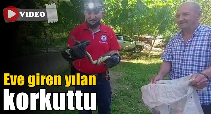 Eve giren yılan korkuttu!