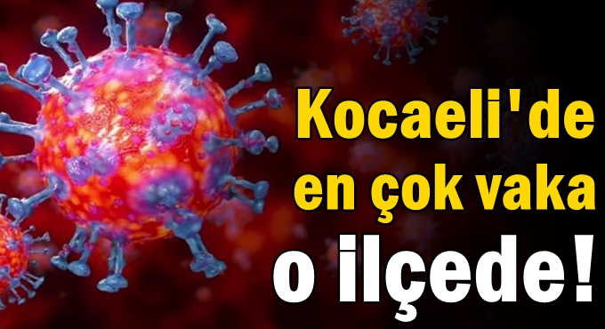 Kocaeli'de en çok vaka o ilçede!