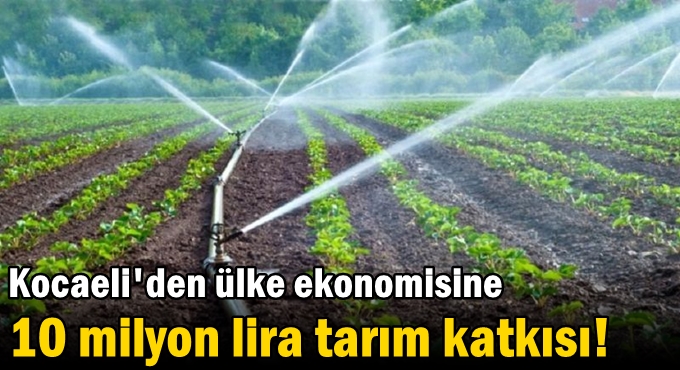 Kocaeli'den ülke ekonomisine 10 milyon lira tarım katkısı!