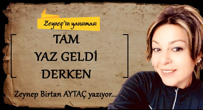 TAM YAZ GELDİ DERKEN