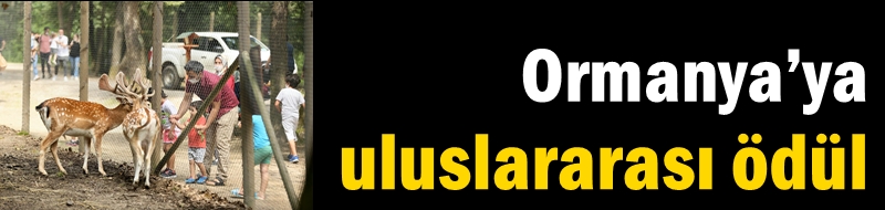 En iyi ‘’Ekolojik Destinasyon Ödülü’’ Ormanya’nın