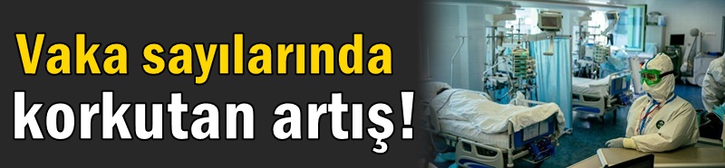 Vaka sayısında korkutan artış