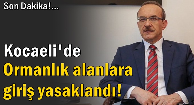 SON DAKİKA!... Ormanlık alanlara girmek yasaklandı!