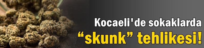 Sokaklarda “skunk” tehlikesi!