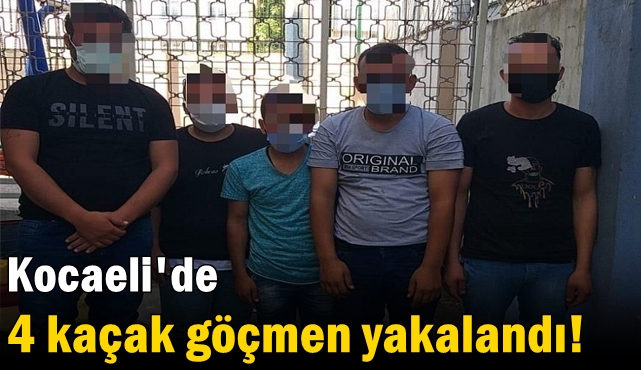Kocaeli'de 4 kaçak göçmen yakalandı!