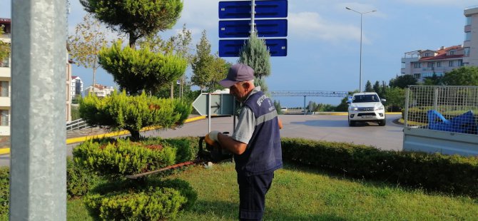 Kavşak ile yollarda ot biçimi ve form budama yapılıyor
