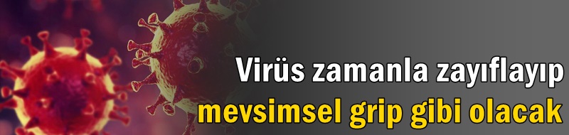 'Virüs zamanla zayıflayıp mevsimsel grip gibi olacak'
