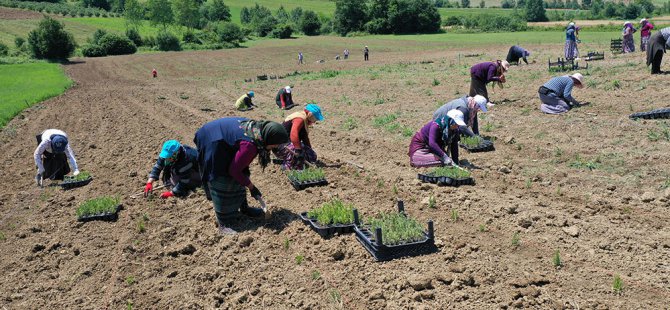 SEKAPARK A.Ş. çiftçinin yüzünü güldürecek