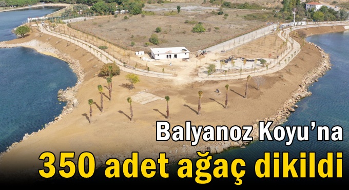 Balyanoz Koyu’na 350 adet ağaç dikildi