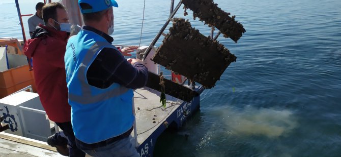 Hereke’de oltaya ‘Piknik Masası’ takıldı