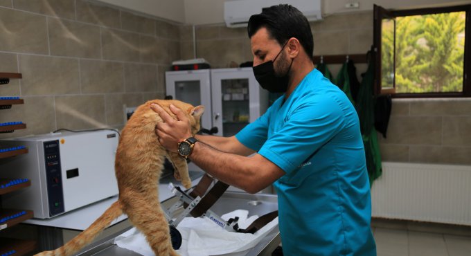 ‘’Şanslı’’ ilk adımlarını atmaya başladı