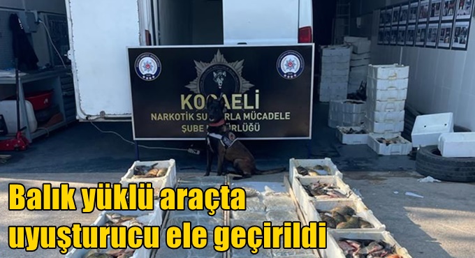 Balık yüklü araçta uyuşturucu ele geçirildi