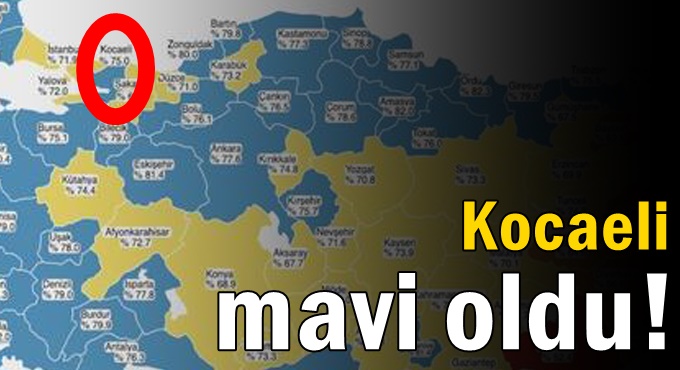 Kocaeli mavi oldu!