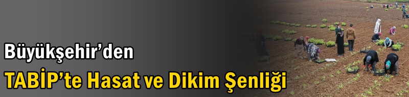 Büyükşehir’den TABİP’te Hasat ve Dikim Şenliği