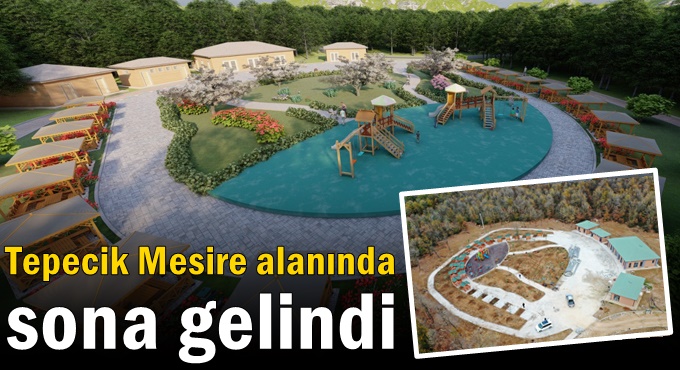 Tepecik Mesire alanında sona gelindi