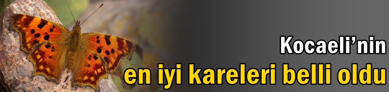 Kocaeli’nin en iyi kareleri belli oldu