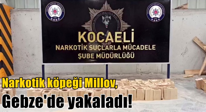 Narkotik köpeği Millov, Gebze'de yakaladı!