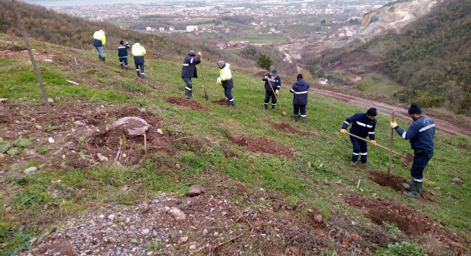 Büyükşehir’den Gölcük Hisareyn’e bal ormanı