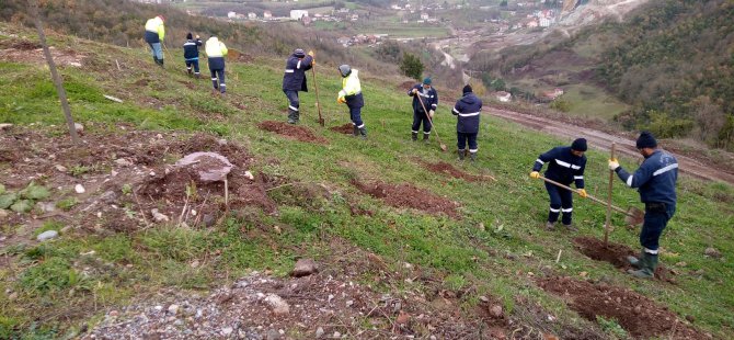 Büyükşehir’den Gölcük Hisareyn’e bal ormanı