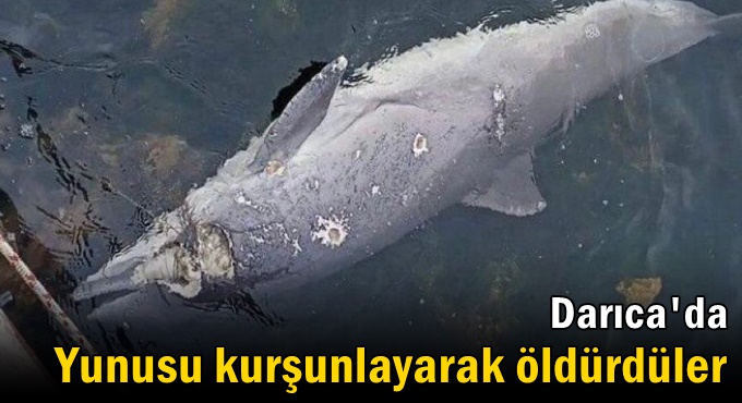 Yunusu kurşunlayarak öldürdüler