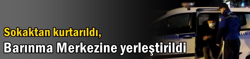 Sokaktan kurtarıldı, Barınma Merkezine yerleştirildi