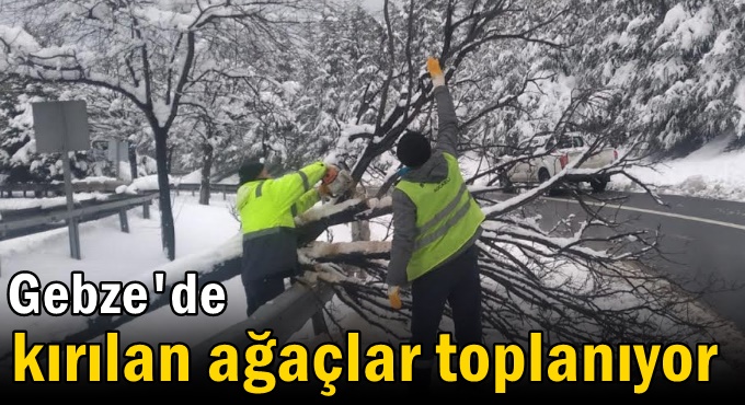 Gebze'de kırılan ağaçlar toplanıyor