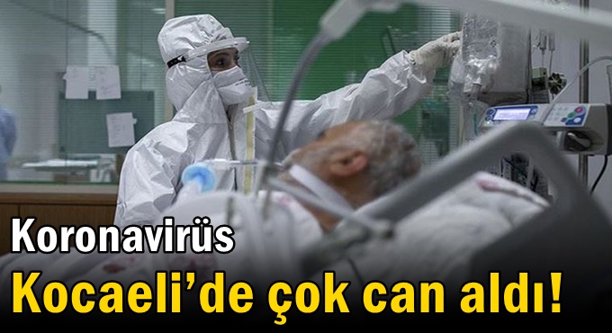 Koronavirüs Kocaeli’de çok can aldı!