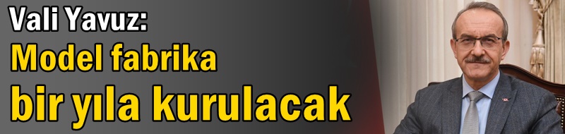 Vali Yavuz: Model fabrika bir yıla kurulacak