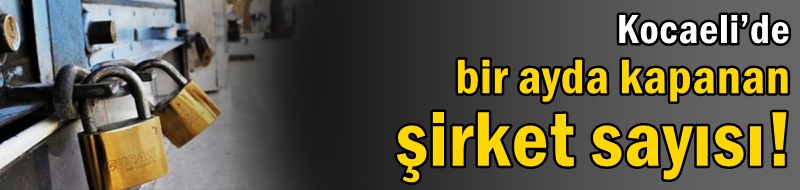 Kocaeli’de bir ayda kapanan şirket sayısı!