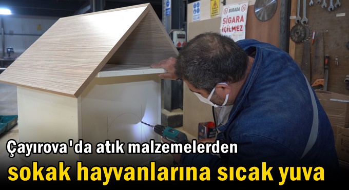 Atık malzemelerden sokak hayvanlarına sıcak yuva