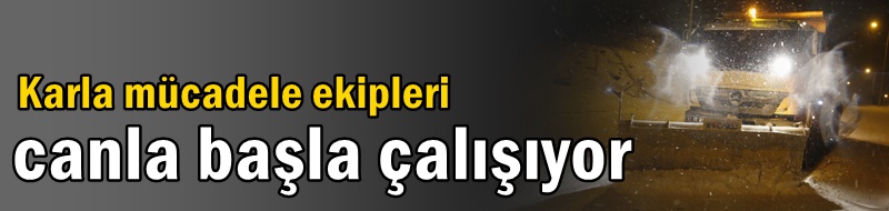 Karla mücadele ekipleri canla başla çalışıyor