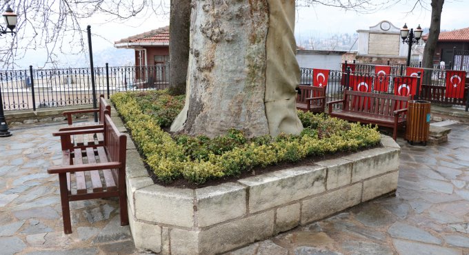 Tarihi Orhan Camii çiçek açtı