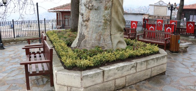 Tarihi Orhan Camii çiçek açtı