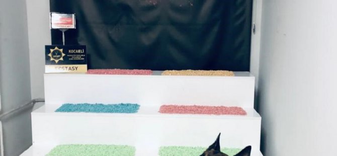 Yolcu otobüsünde 29 bin uyuşturucu hap çıktı!