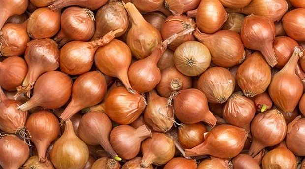 Nisan ayının zam şampiyonu belli oldu!