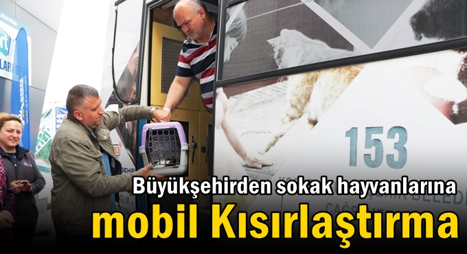 Büyükşehirden sokak hayvanlarına Mobil Kısırlaştırma