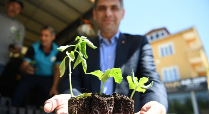 Kartepe'de 123 bin fidan toprakla buluştu