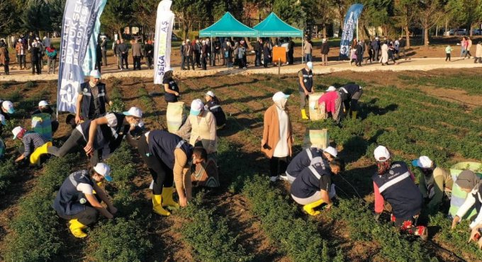 Sekapark A.Ş. organik tarıma geçiş sürecini başlattı