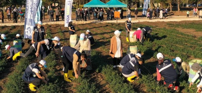 Sekapark A.Ş. organik tarıma geçiş sürecini başlattı