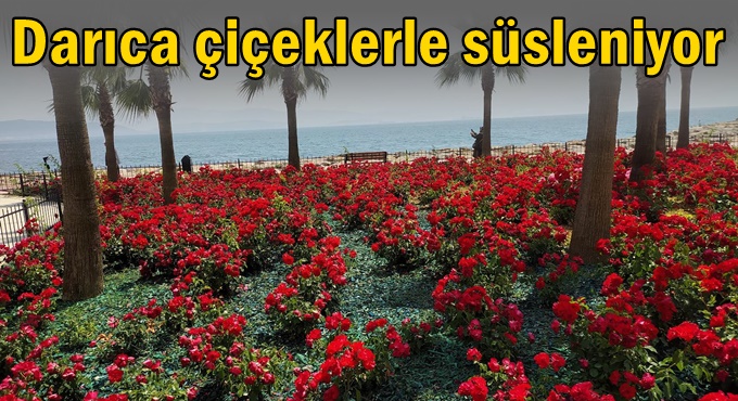 Darıca'da yaz çalışması