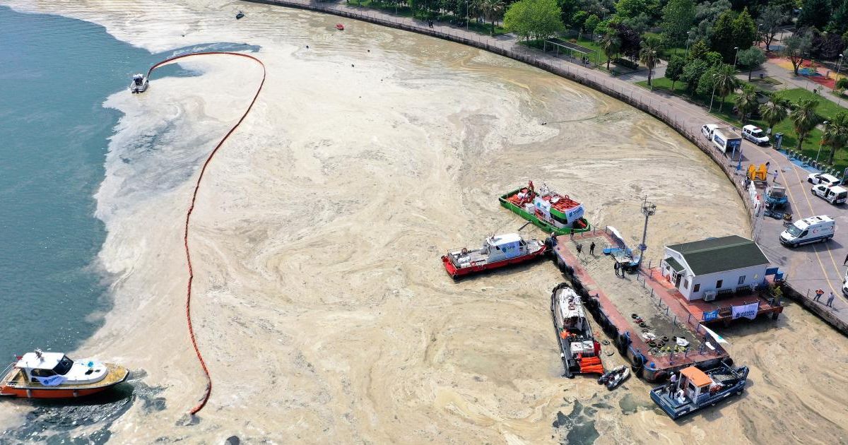 Müsilaj kanunu Resmi Gazete'de yayımlandı: Cezalar arttı