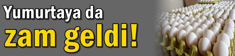 Yumurtaya da zam geldi!