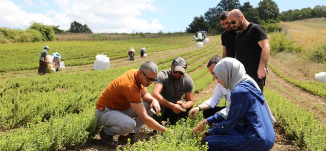 Kocaeli’de melisa hasadı başladı