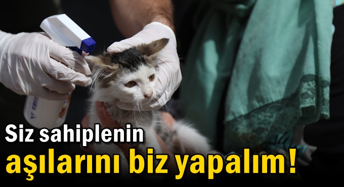 Siz sahiplenin aşılarını biz yapalım!