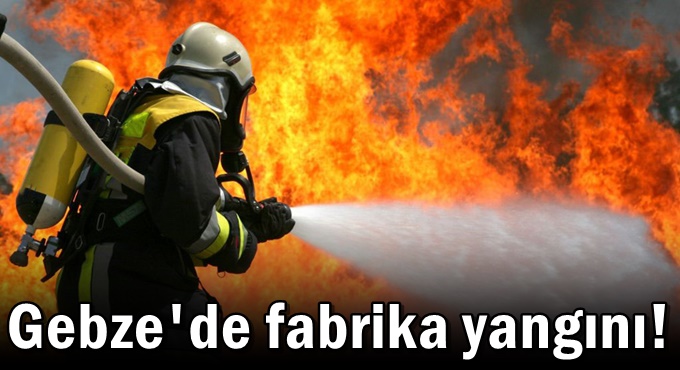 Gıda fabrikasında yangın: 6 işçi hastanelik oldu
