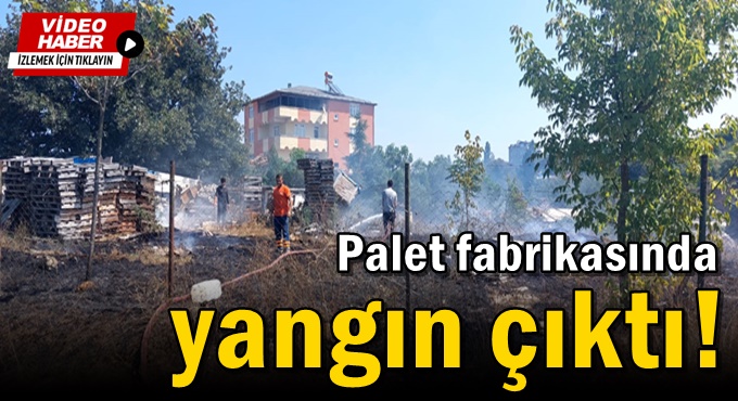 Palet fabrikasında yangın çıktı!